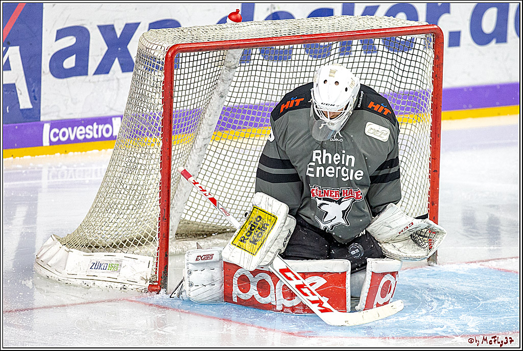 DEL; Koelner Haie - Fischtown Pinguins Bremerhaven, 06.01.2019